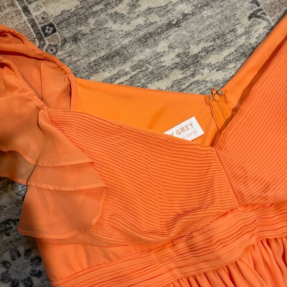 Birdy Grey Michelle Dress Chiffon Apricot NEW size 3X - Picture 6 of 10